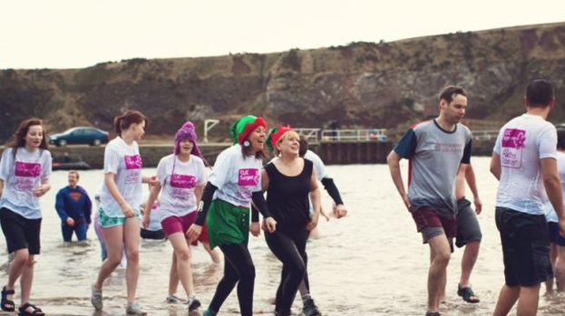 Nippy Dip: Volunteers take part in last year's event.