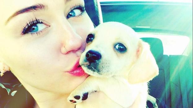 Miley Cyrus adopts rescue dog
