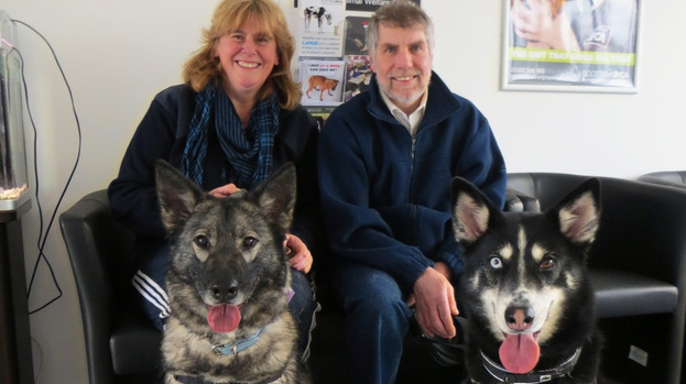 Alex and Isobel Arthur rehome husky duo Cleo and Mirren