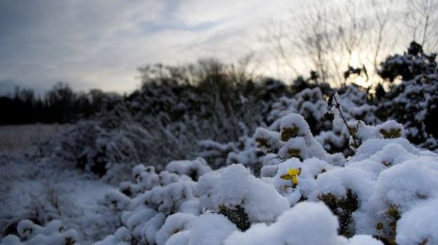 Moray Weather: Conflicting messages from experts