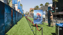 The green carpet is rolled out