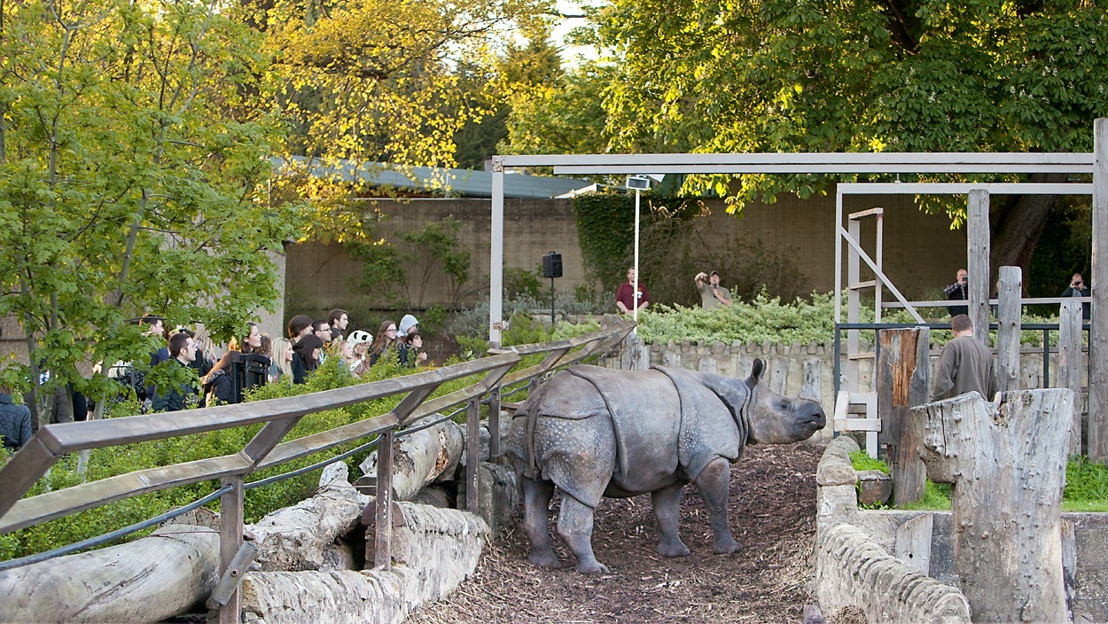 Edinburgh Zoo opens for adults only as late night events return STV