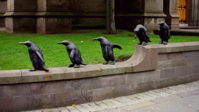 P-p-p-picking up a penguin that’s over 100 years old