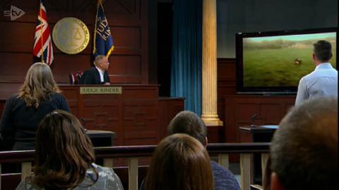 Judge Rinder