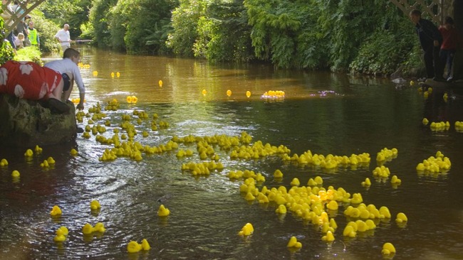 Stockbridge Duck Race to return to the Water of Leith this summer | STV ...