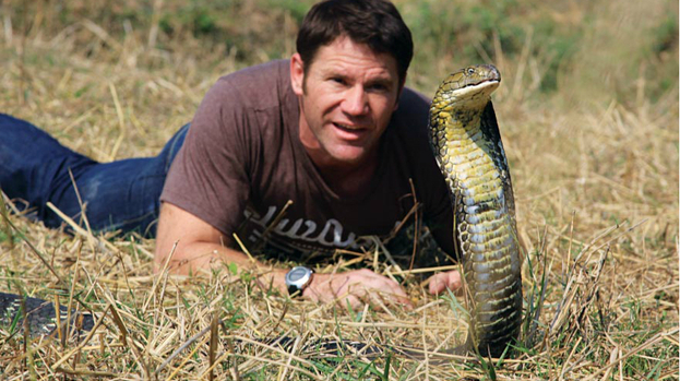 Strictly's Steve Backshall thought he wouldn’t walk again | TV ...