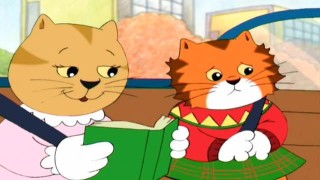 Meeow | STV Player