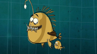 I'm a Fish