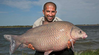 Monster Carp